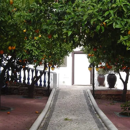 Ferienhaus Jardim Das Palmeiras By Portugalferias *